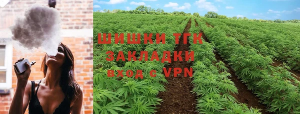 ГАЛЛЮЦИНОГЕННЫЕ ГРИБЫ Белоозёрский