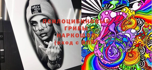 ГАЛЛЮЦИНОГЕННЫЕ ГРИБЫ Белоозёрский