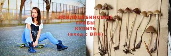 мдпв Беломорск