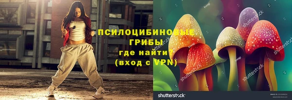 ALPHA PVP Белокуриха